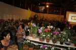 clique para visualizar